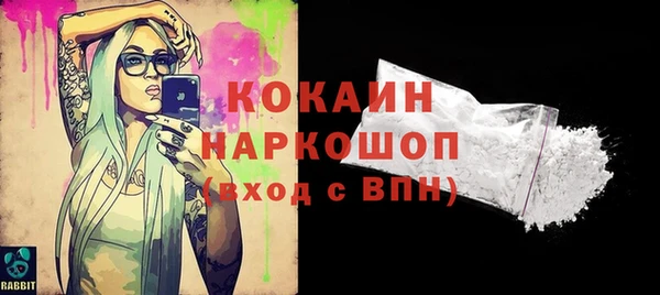 дживик Арсеньев