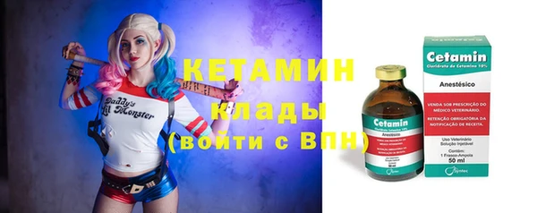 дживик Арсеньев