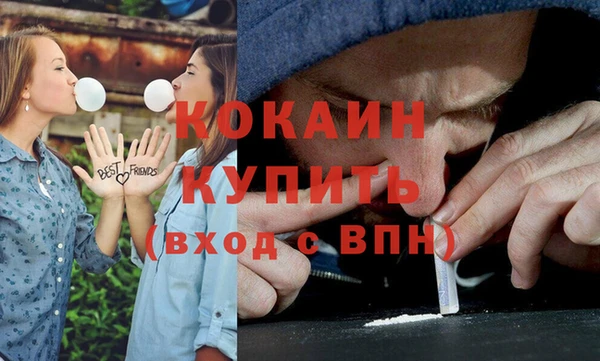 дживик Арсеньев